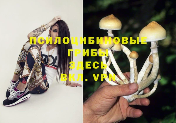 меф Новокубанск